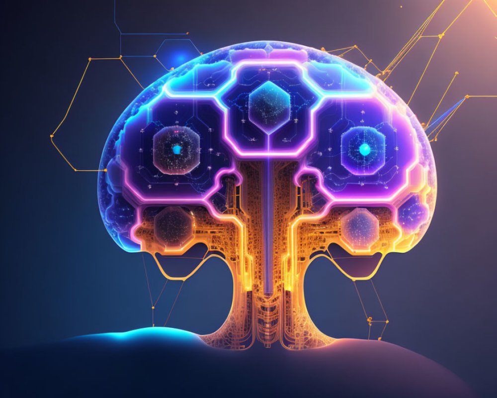 understanding-hozloxdur25